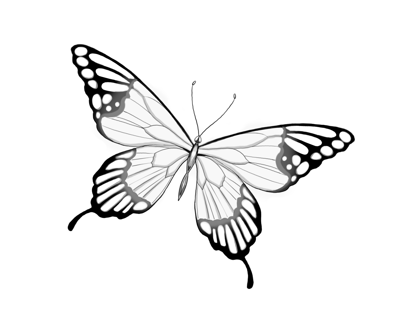 Flash-Motiv: Butterfly