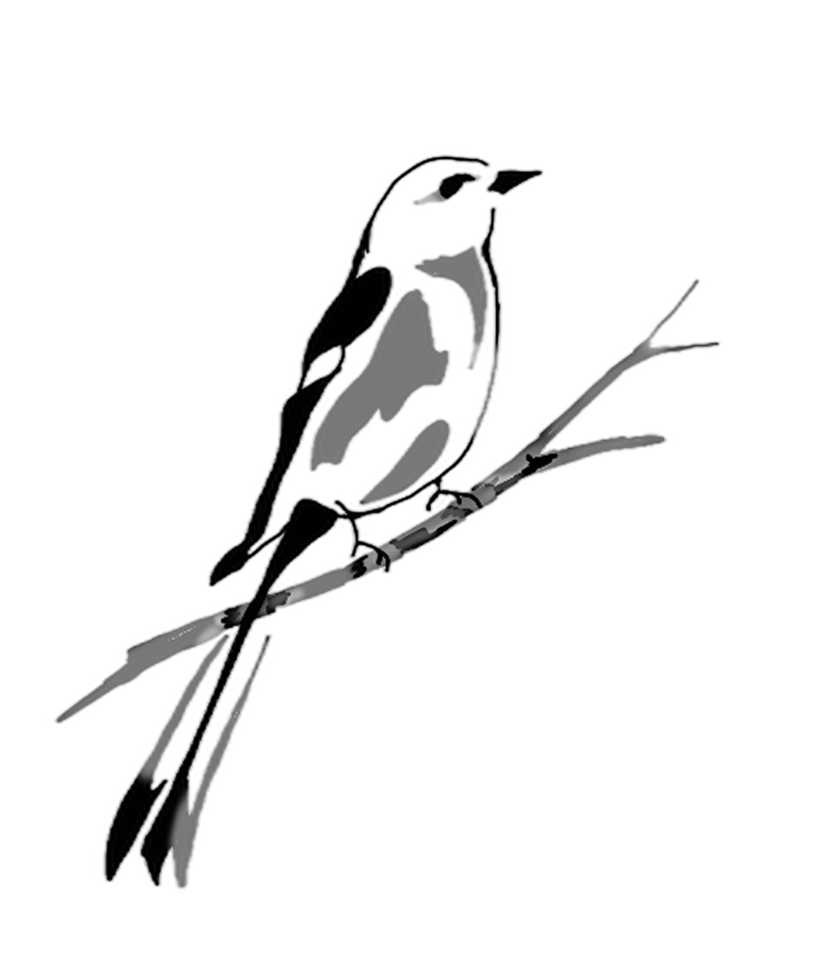 Flash-Motiv: Kleiner Vogel
