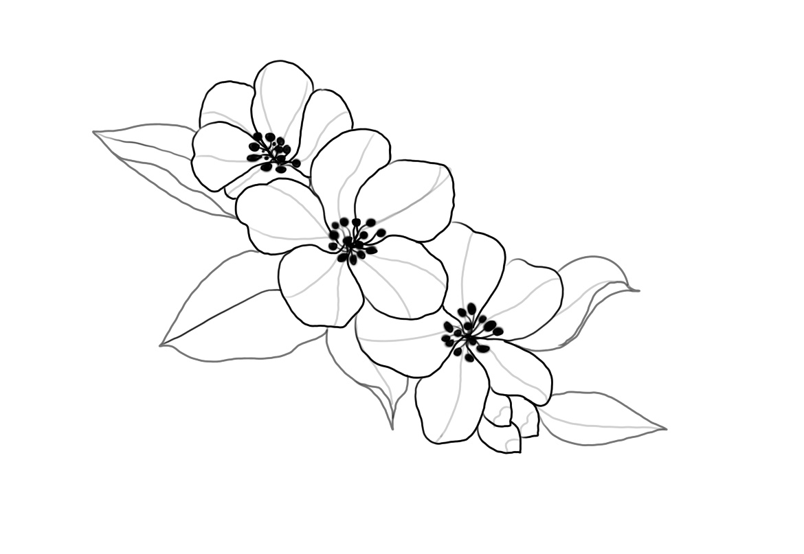 Flash-Motiv: Kirschblüten Zweig