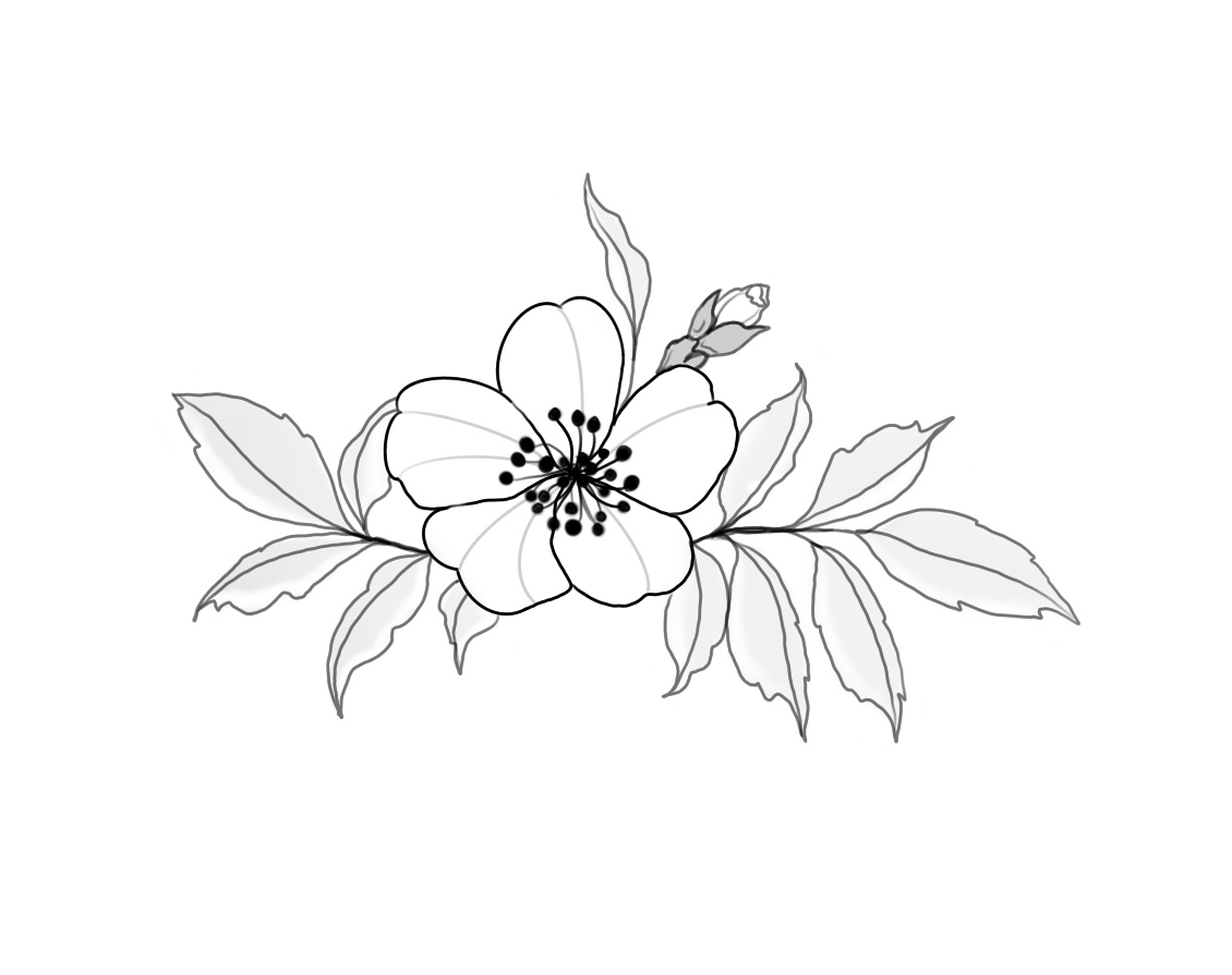 Flash-Motiv: Kirschblüte und Blätter