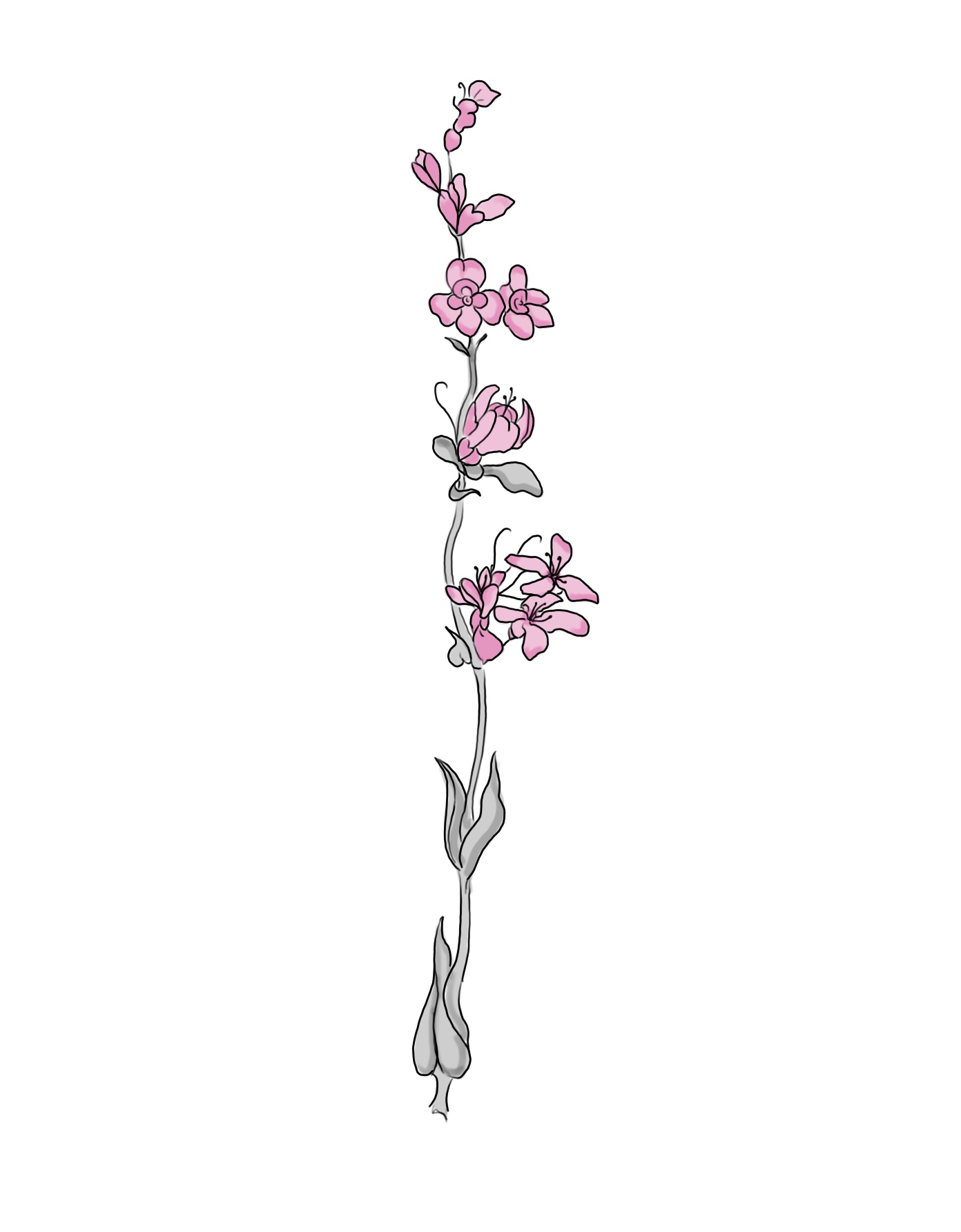 Flash-Motiv: Pink Flower Stalk