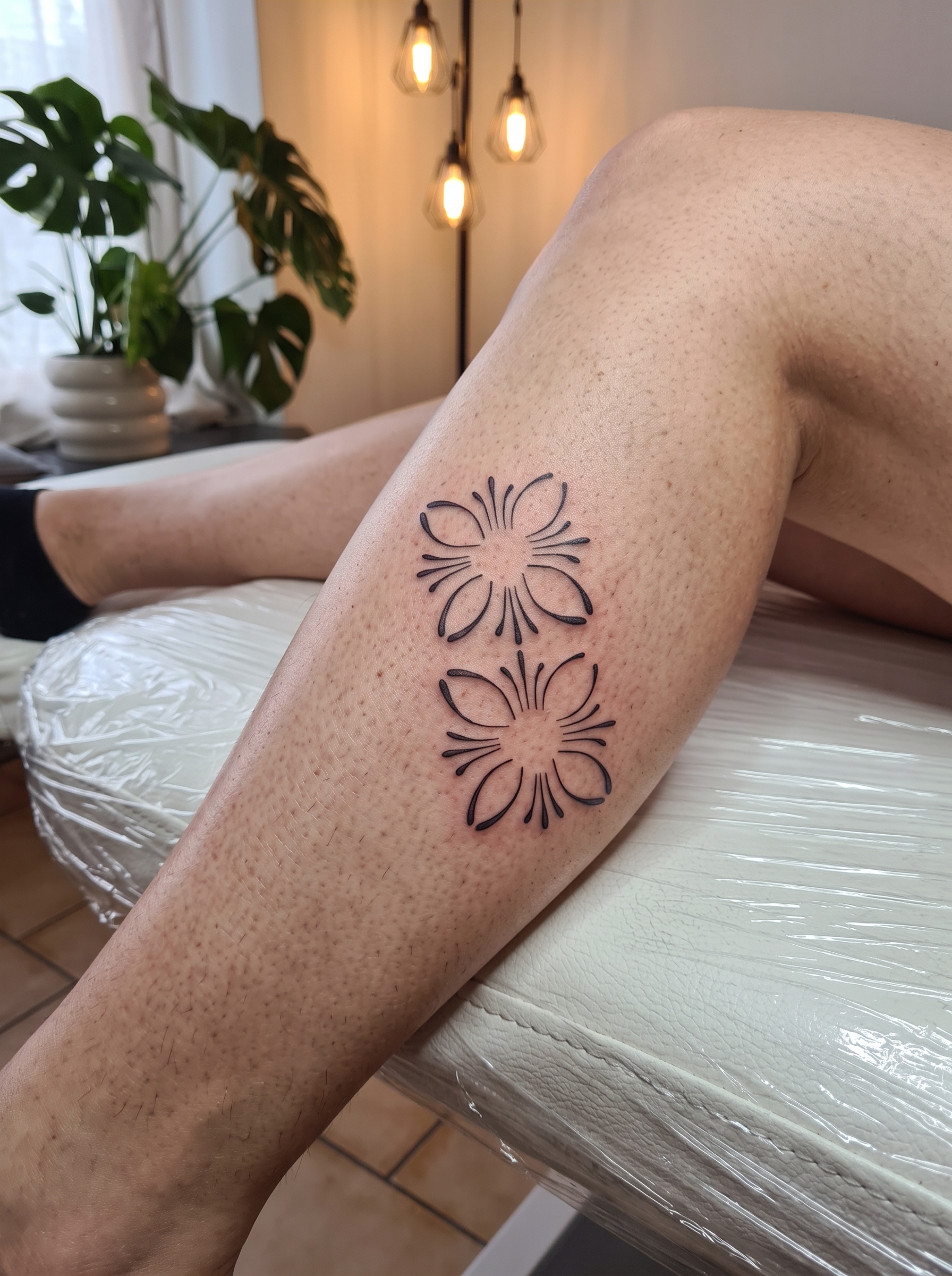 Ornamental design