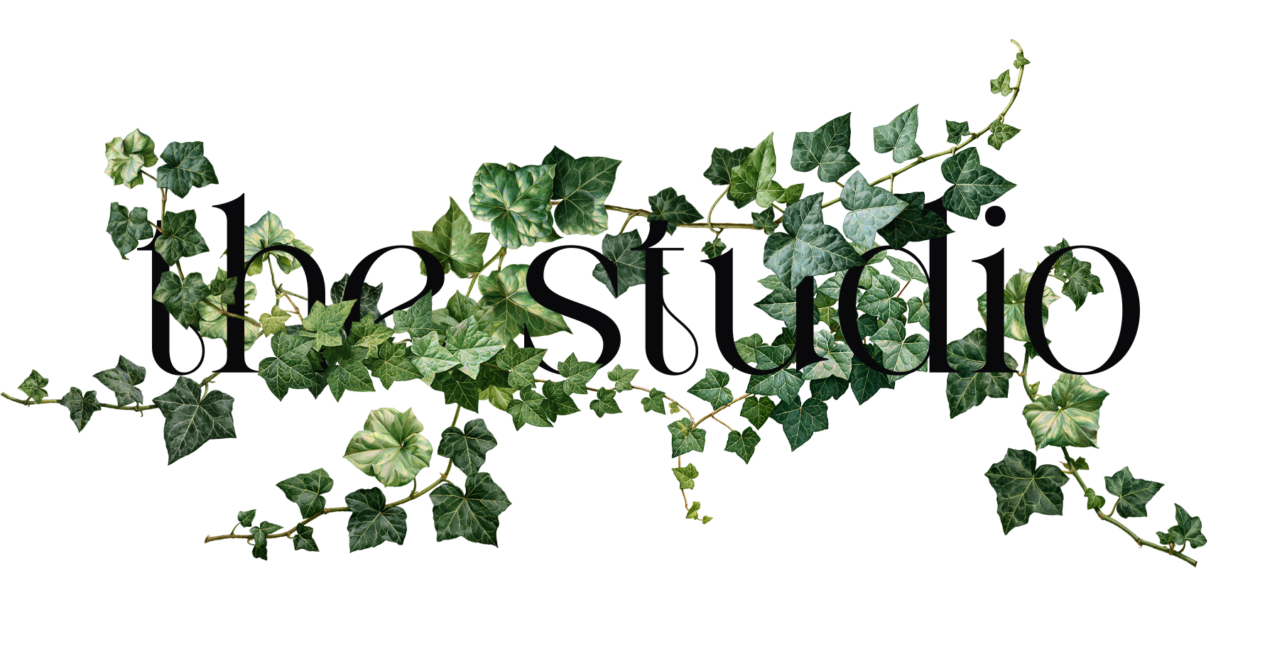 Studio banner wrapped in ivy